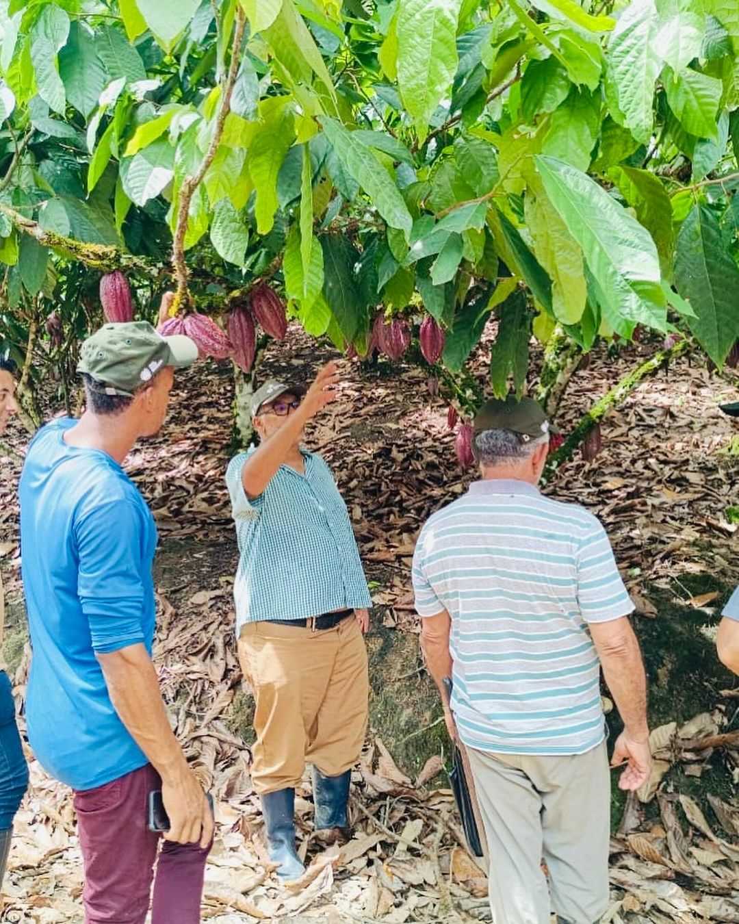 Camacã: Em parceria com o SENAR, Secretaria de Agricultura realiza dia de visita e conclui mais um curso para os agricultores
